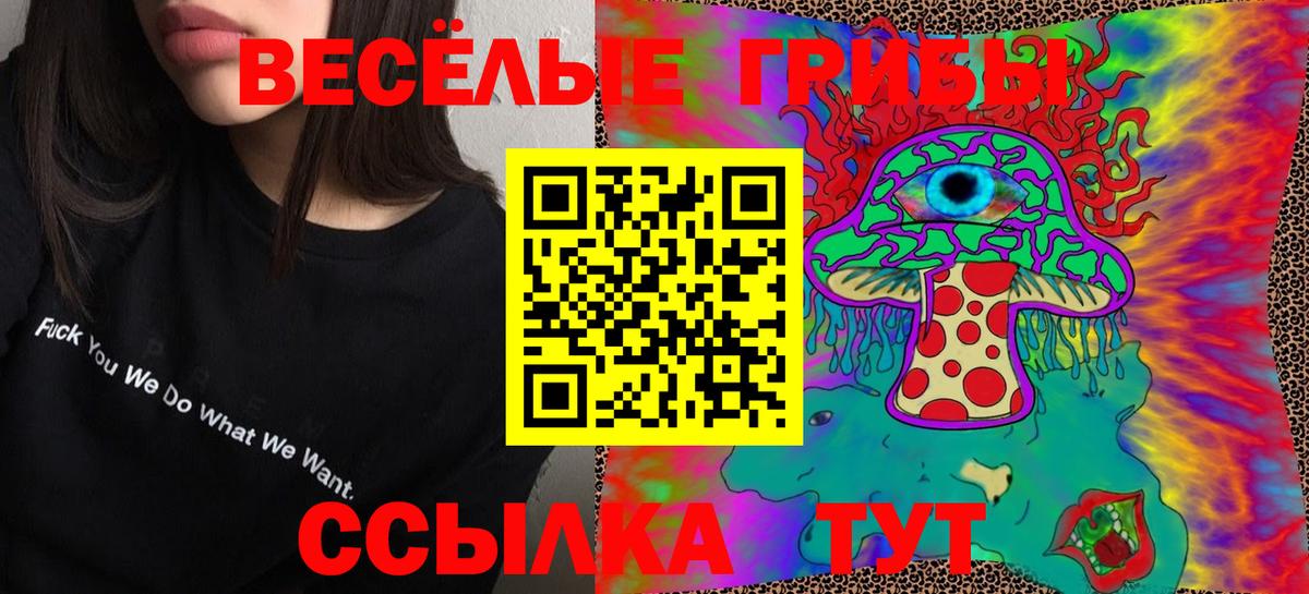 Псилоцибиновые грибы мицелий  Вход с VPN  Тара 