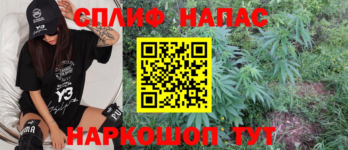 Бошки марихуана OG Kush Тара